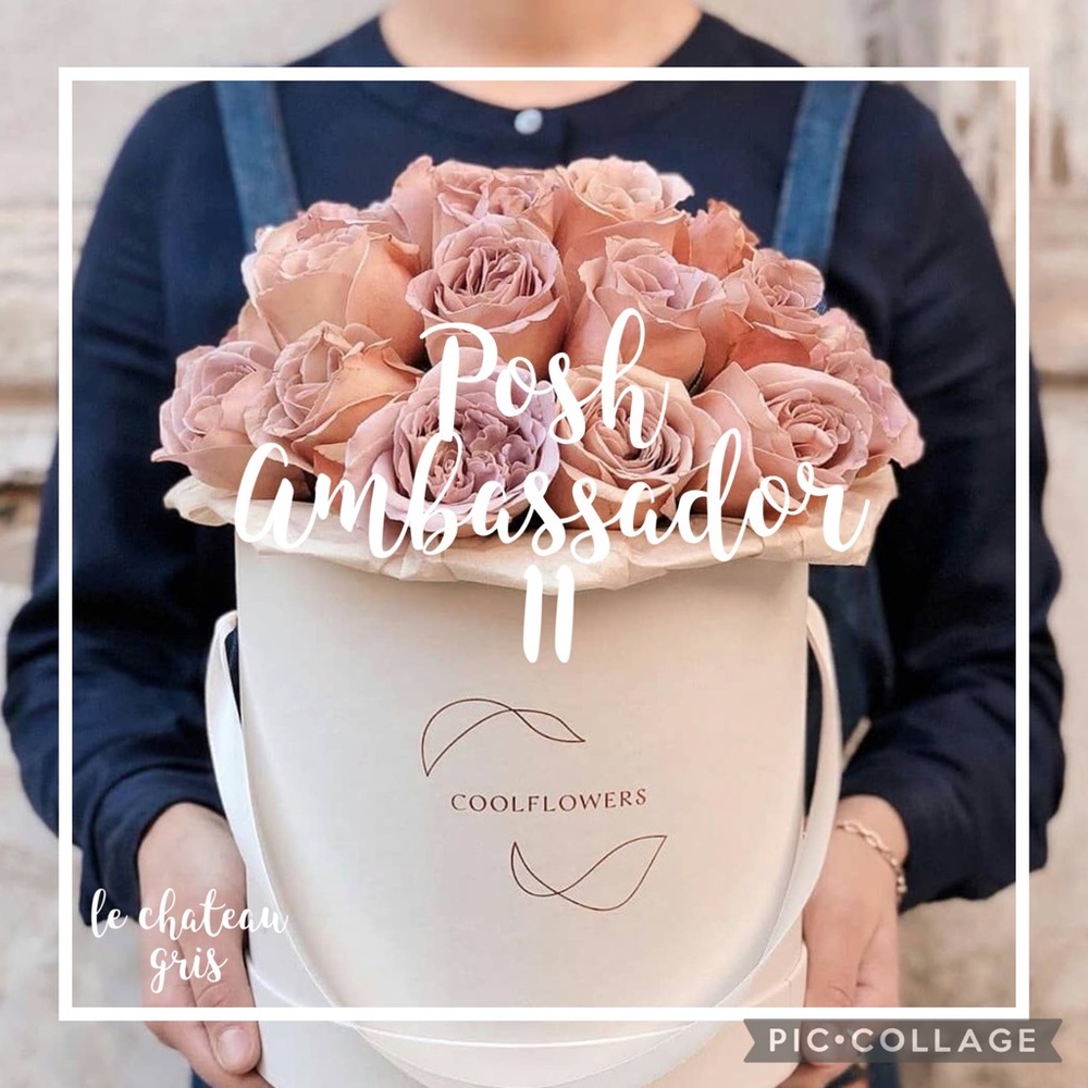 I’ve just been promoted… I’m a Posh Ambassador II !!